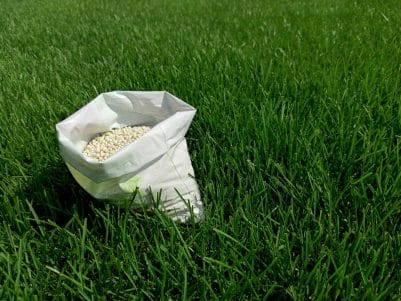 Fertilization to Improve Your Lawn