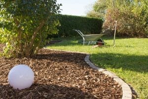 Make Sure Your Landscape Will Thrive This Winter With Mulch