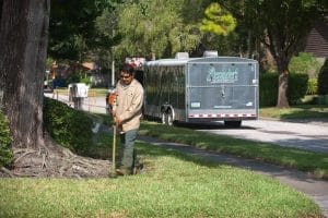 Spring into Vibrancy: Elevate Your Florida Landscape with Alexander's